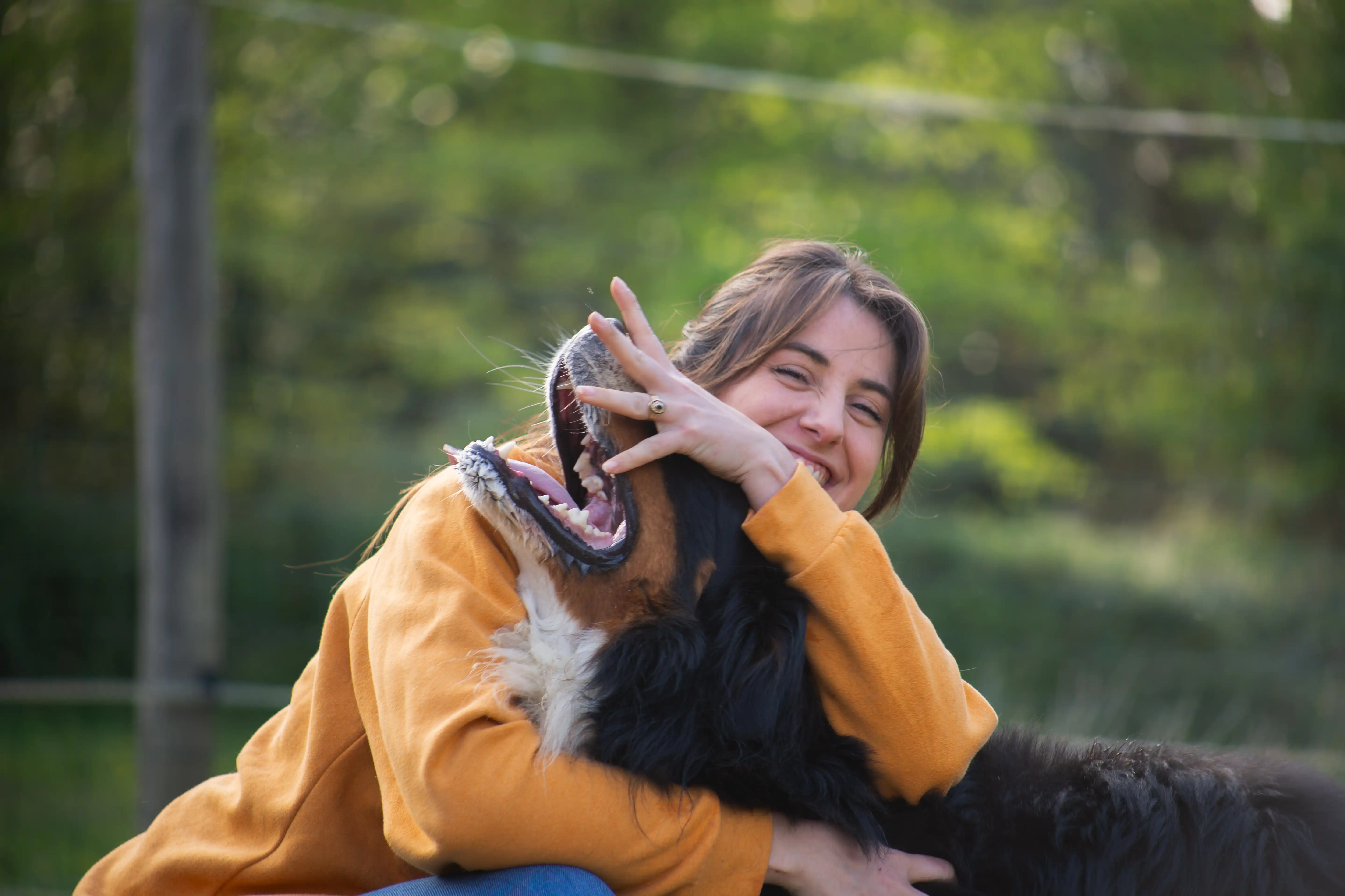 petsitter (1)