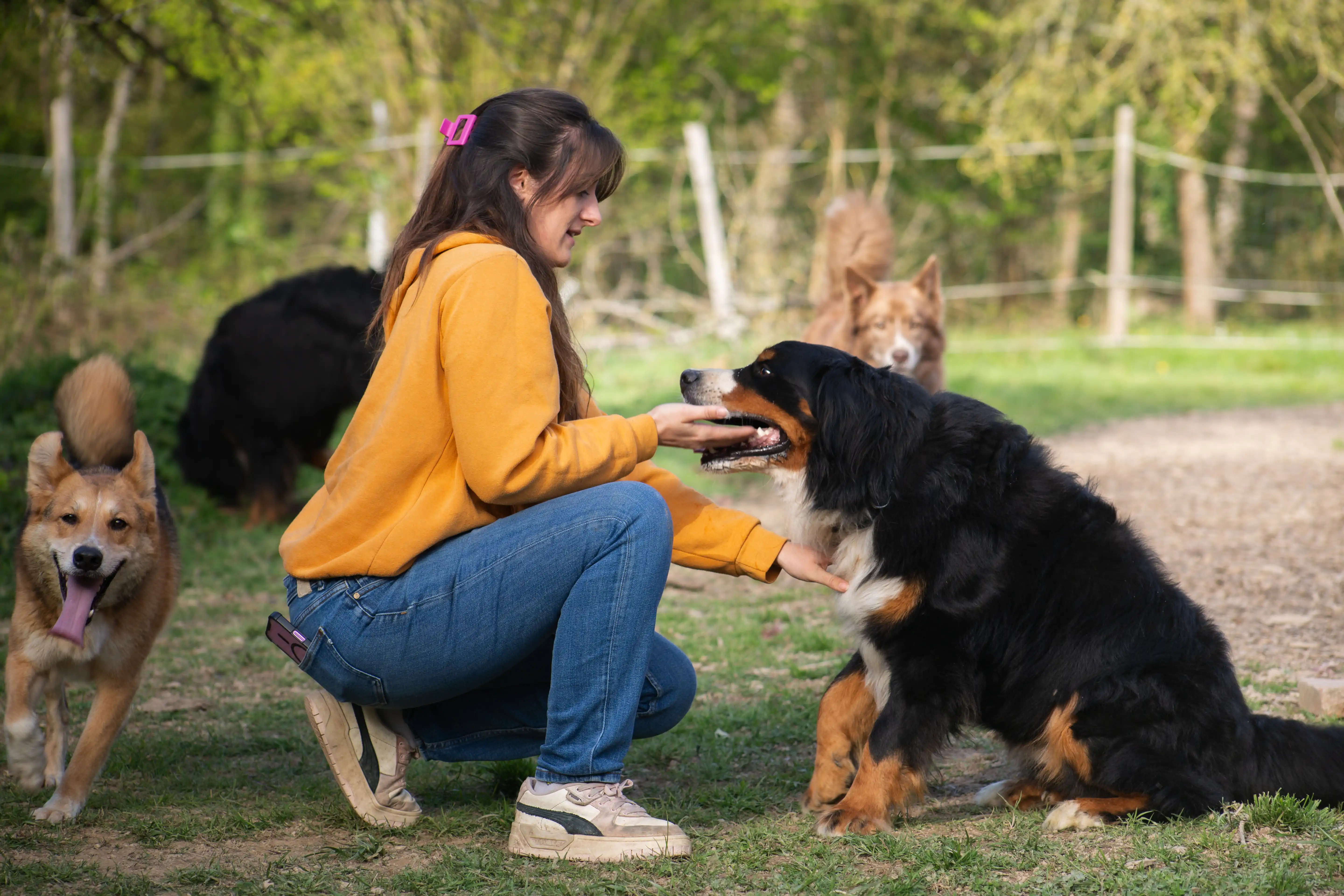 petsitter (2)