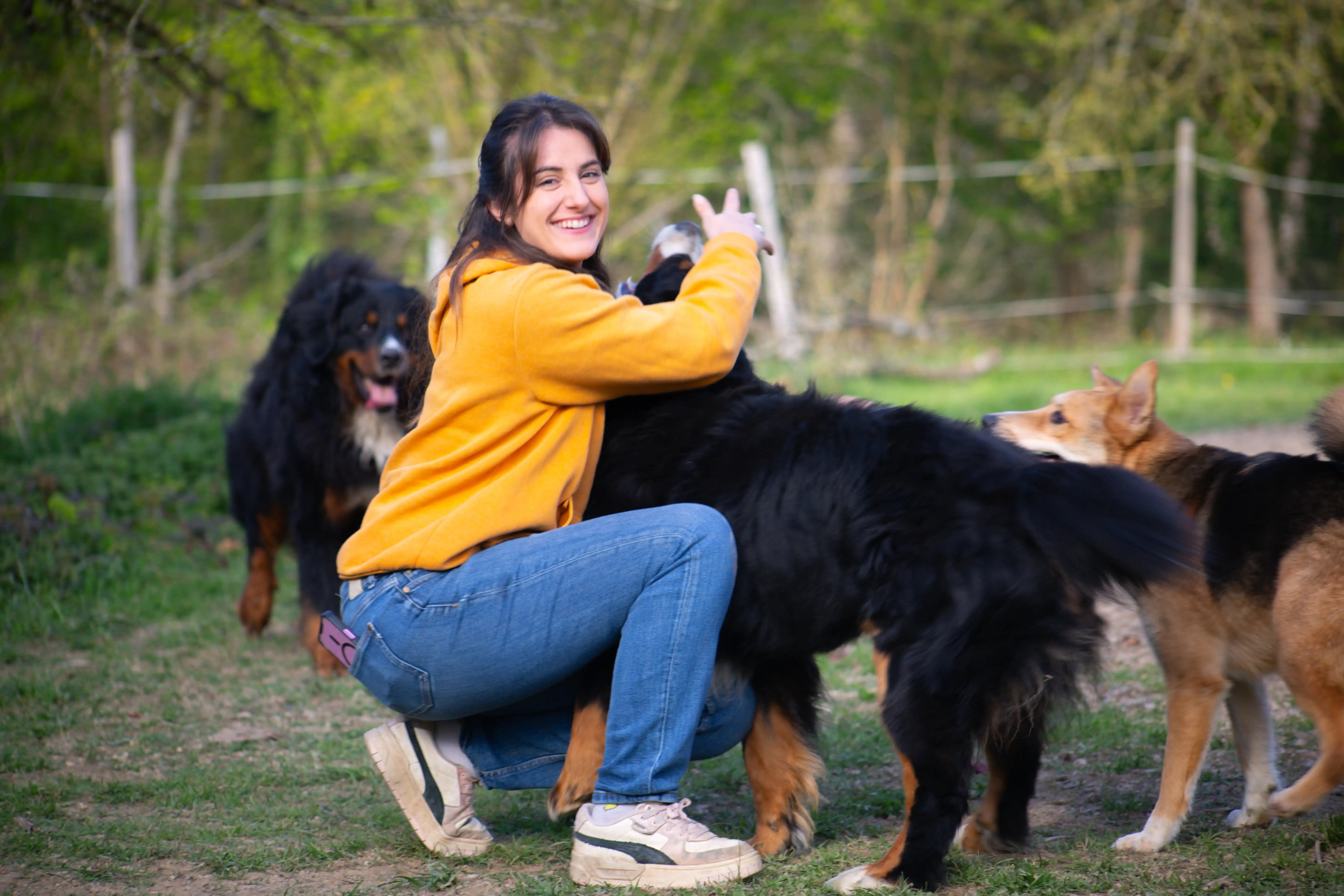 petsitter (3)